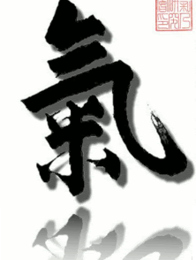 Aïkido